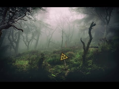 Видео: S.T.A.L.K.E.R.- Call of Chernobyl - Легенды Зоны