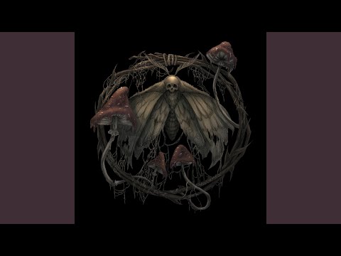 Видео: Что скрывает лес