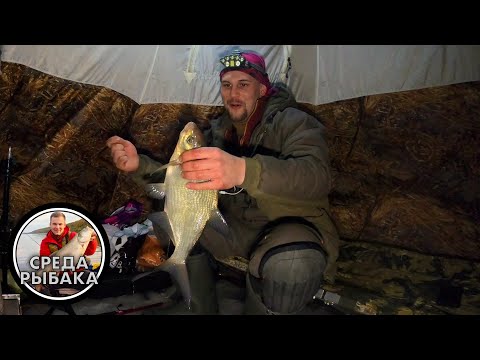 Видео: КЛЁВ как на ЧЁРНЫХ КАМНЯХ | Зимняя рыбалка с ночевкой в палатке на Яузском водохранилище 2021