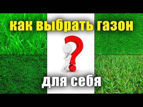 Видео: Как правильно выбрать семена ГАЗОННОЙ ТРАВЫ. Семена газона, мятлик, овсянница, райграс, что лучше.