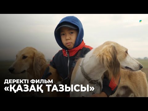 Видео: «ҚАЗАҚ ТАЗЫСЫ». Деректі фильм