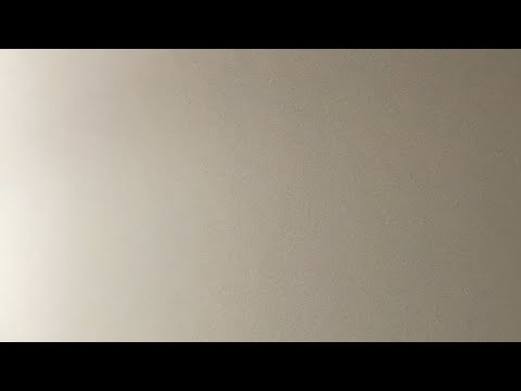 Видео: Темпераменттер тууралуу