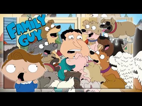 Видео: Гриффины - Собачник ! 20 сезон Лучшие и смешные моменты нарезка hd