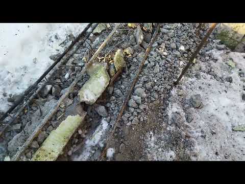 Видео: УДВАИВАЕМ ДОХОД НА ДОБЫЧЕ АРМАТУРЫ