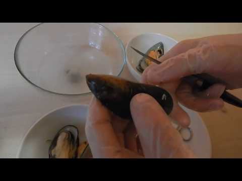 Видео: Как правильно чистить мидии