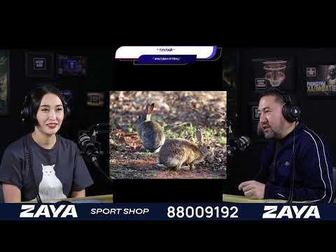 Видео: Туулай - АМЬТДЫН ЕРТӨНЦ