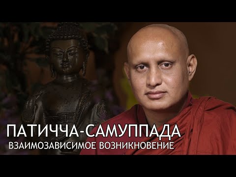 Видео: Бханте Ньянасиха. Патичча-самуппада / Студия Бодхи
