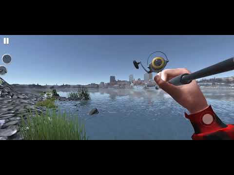 Видео: 23 октября 2025 г.