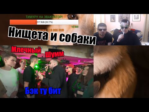 Видео: Нищета и собаки реакция на SLOVO BACK 2 BEAT: МЛЕЧНЫЙ vs ШУММ (MAIN-EVENT) | МОСКВА