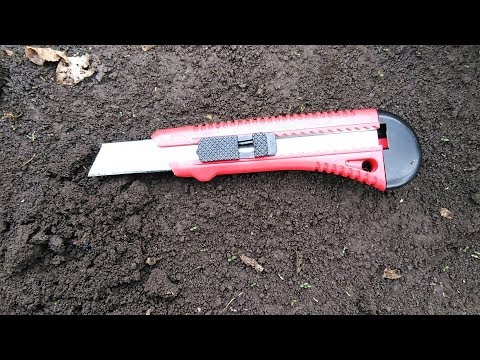 Видео: Последний этап в окулировке роз.