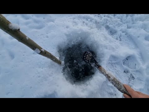 Видео: Чуть было не было!