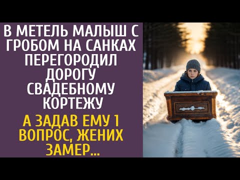Видео: В метель малыш с гробом на санках перекрыл дорогу свадебному кортежу… А задав 1 вопрос, жених замер…