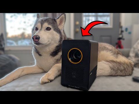 Видео: Этот проектор — настоящий домашний кинотеатр в коробке! (VANKYO H500R)