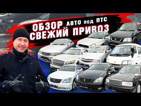 Видео: 14 машин без пробега по РФ за 200-400т.р. Почему такие цены?? Конструкторы авто под птс из Японии!