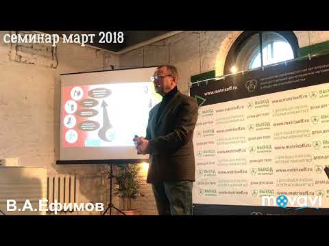 Видео: В.А. Ефимов (семинар) март 2018 «Выход из Матрицы)