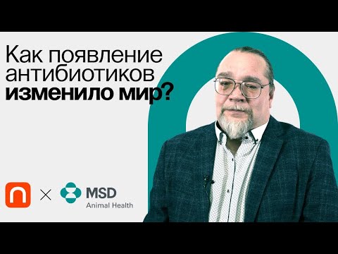 Видео: Происхождение антибиотиков  Как их появление изменило мир