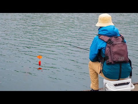 Видео: Мужчина использует маленьких рыб как наживку, чтобы поймать крупную рыбу.