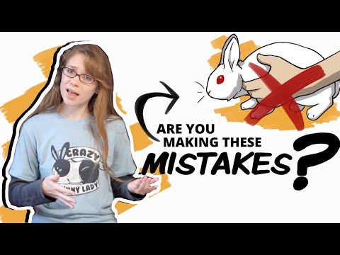 Видео: Избегайте этих ошибок в уходе за кроликами!