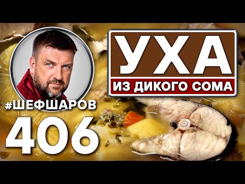 Видео: Уха из дикого сома. Рыбный суп. #шефшаров #500супов #русскаякухня #куриныйсуп #рыбныйсуп #уха
