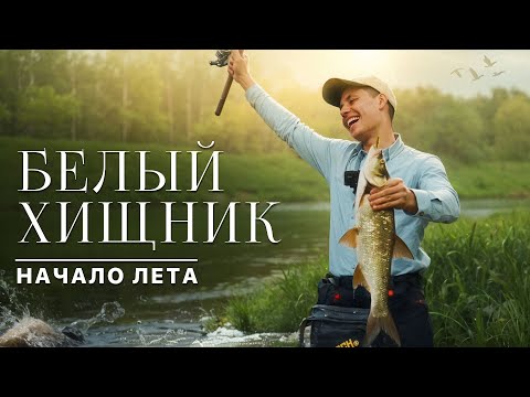 Видео: СУМАСШЕДШИЕ поклевки жереха и голавля на ультралайт! Рыбалка на реке мечты!