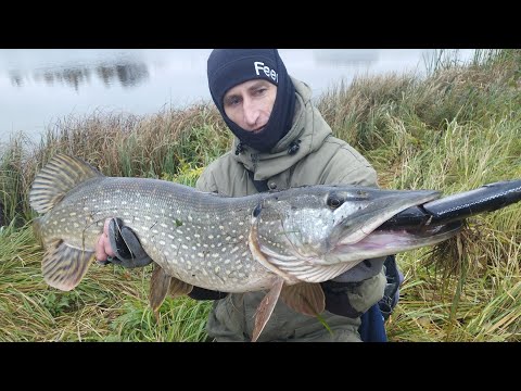 Видео: ОТ ТАКОЙ РЫБЫ МОЖНО ПОТЕРЯТЬ ДАР РЕЧИ!!! Рыбалка в Беларуси, на джерки!!!