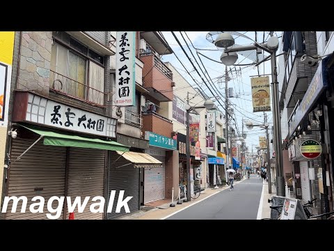 Видео: Прогулка по Торицу Касей, Домоводство, Япония [4K HDR]