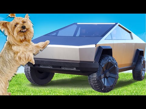 Видео: Я построил ТЕСЛУ КИБЕРТРАК для ЗЛОГО ПСА !