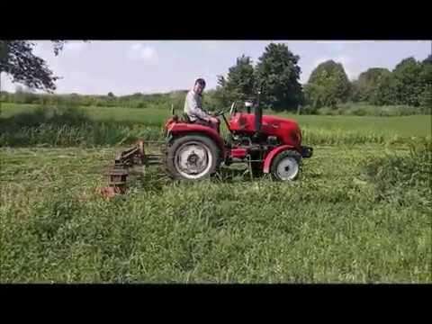 Видео: трактор синтай  244 косим суданку