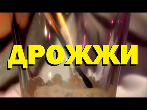 Видео: Галилео. Дрожжи 🍞 Yeast