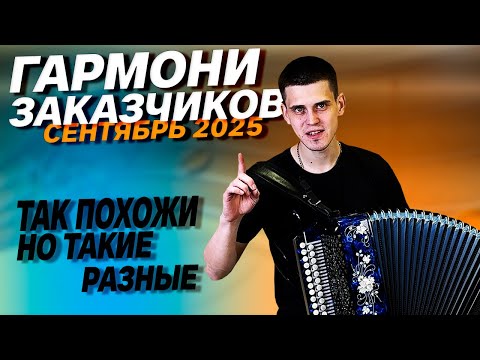 Видео: ЗАКАЗНЫЕ МЕХАНИКИ В ГАРМОНЯХ // В ЧЕМ ОТЛИЧИЕ???