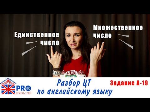 Видео: Готовимся к ЦТ по английскому языку. Задание А-20.Единственное и множественное число существительных