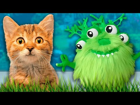 Видео: КАК ВЫРАСТИТЬ ТРАВУ ДЛЯ КОШЕК | Развивающие мультики для детей