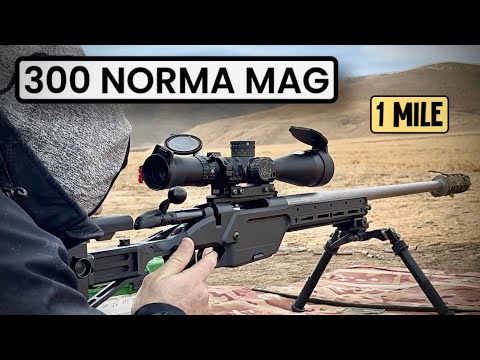 Видео: 300 NORMA MAG. Лучший дальнобойный калибр из доступных. стрельба до 1600 м.