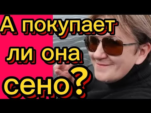 Видео: А покупает ли она сено? Или обман? 🤡#Деревенский дневник#побируха#поберуха#обзоры#