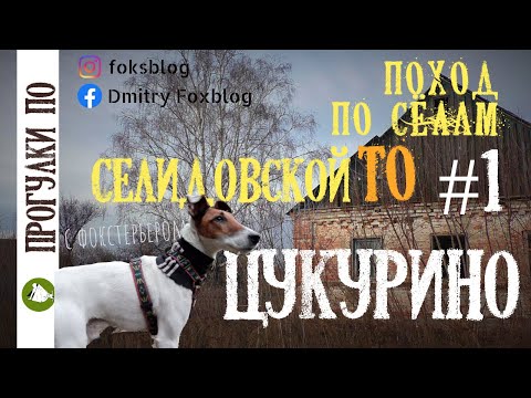 Видео: Поход по селам Селидовской ТО#1 ЦУКУРИНО ПИРОЖКИ И ШИШКИ