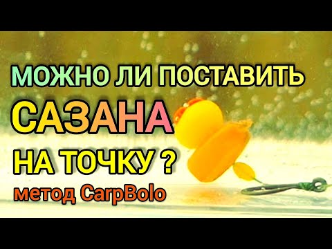 Видео: Можно ли поставить сазана на точку? 