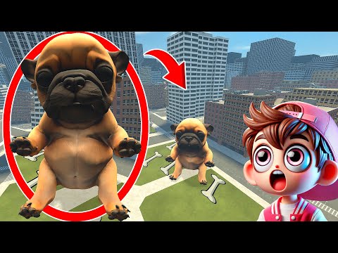 Видео: Мой дрон ловит меня, я Пибл, помой мой живот в реальной жизни в Garry's Mod