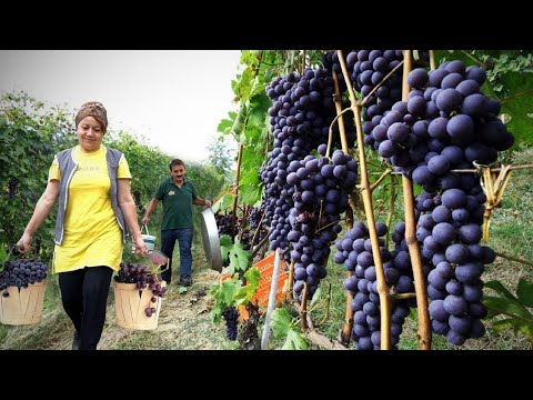 Видео: 4 невероятных рецепта в азербайджанской деревне | Часовые расслабляющие видео