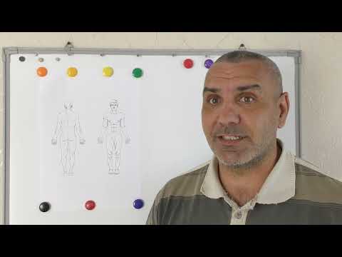 Видео: Основа ЦИГУН это ИНЬ