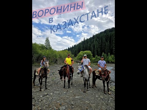 Видео: ВОРОНИНЫ В КАЗАХСТАНЕ