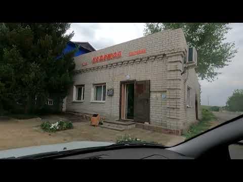 Видео: Новая Шульба. Бородулихинский район. Восточный Казахстан. 10.07.2021г.