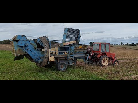 Видео: Т-25 и польская Anna Z-644 .  Не срослось. Копаем картошку.