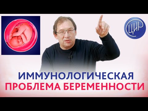 Видео: Иммунология беременности и иммунологическая проблема беременности. Рассказывает Гузов И.И.
