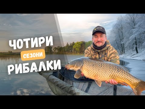 Видео: Як ловити коропа цілий рік | Важка рибалка на карпа на озері Доброгостів