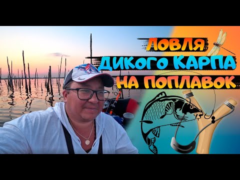 Видео: Рыбалка на поплавок с лодки. Рыбалка на карпа. Рыбалка с ночевкой.fishing.  карпфишинг