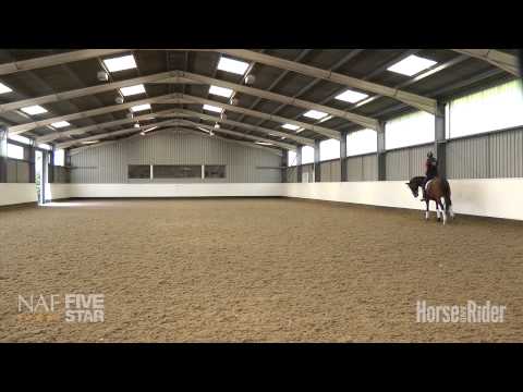 Видео: Эмиль Фори – Как поставить лошадь перед ногой