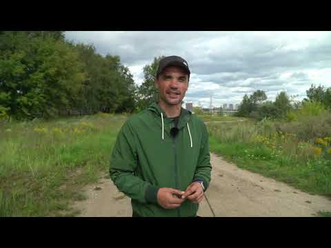 Видео: Онлайн-курс дрессировки. Урок 5 | Кинолог Шустов Андрей | kinolog.online