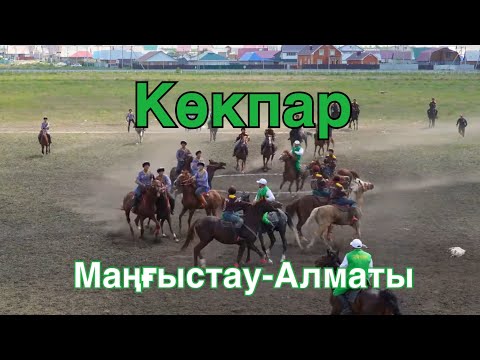 Видео: Көкпар Маңғыстау-Алматы