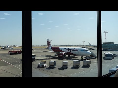 Видео: Ашлян-фу которое я ждал.  БИШКЕК | Голодный Ким