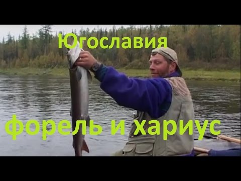 Видео: Диалоги о рыбалке - 197 - Ловля форели и хариуса в Югославии.